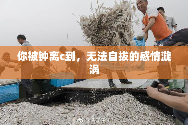 你被钟离c到，无法自拔的感情漩涡
