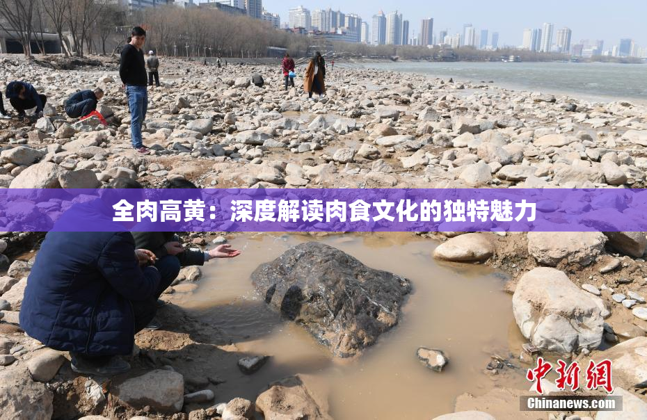 全肉高黄：深度解读肉食文化的独特魅力