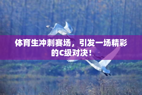 体育生冲刺赛场，引发一场精彩的C级对决！