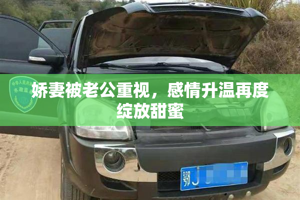 娇妻被老公重视，感情升温再度绽放甜蜜