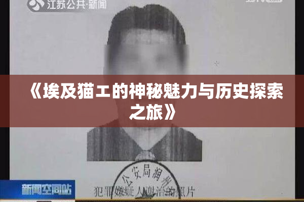 《埃及猫エ的神秘魅力与历史探索之旅》