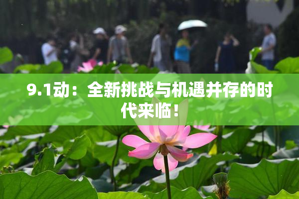 9.1动：全新挑战与机遇并存的时代来临！
