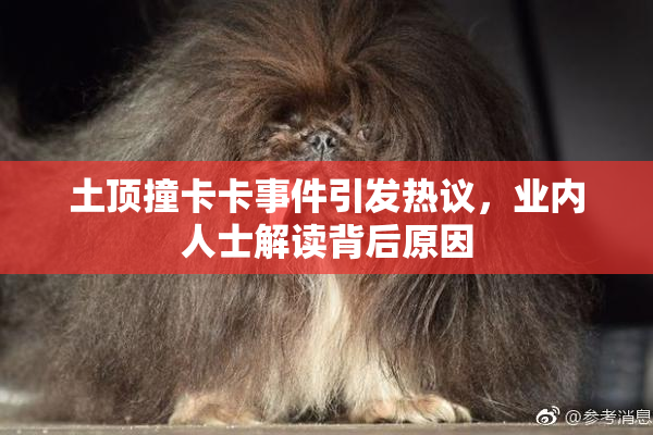 土顶撞卡卡事件引发热议，业内人士解读背后原因