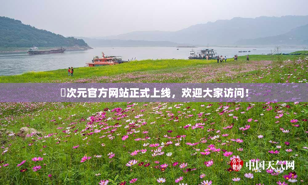 囧次元官方网站正式上线，欢迎大家访问！
