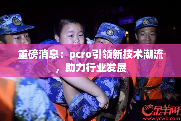 重磅消息：pcro引领新技术潮流，助力行业发展
