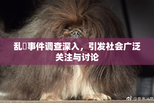 乱婬事件调查深入，引发社会广泛关注与讨论