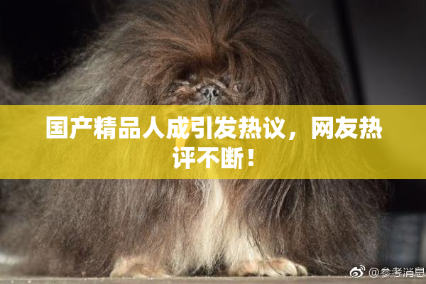 国产精品人成引发热议，网友热评不断！