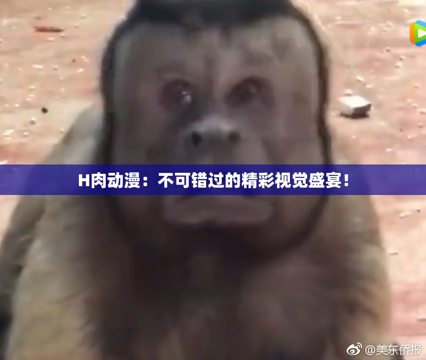 H肉动漫：不可错过的精彩视觉盛宴！