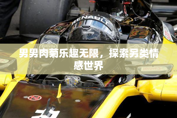 男男肉菊乐趣无限，探索另类情感世界