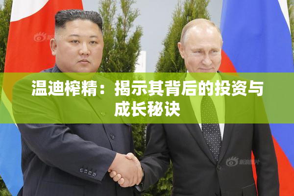 温迪榨精：揭示其背后的投资与成长秘诀