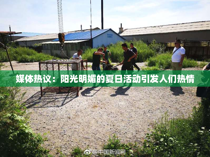 媒体热议：阳光明媚的夏日活动引发人们热情