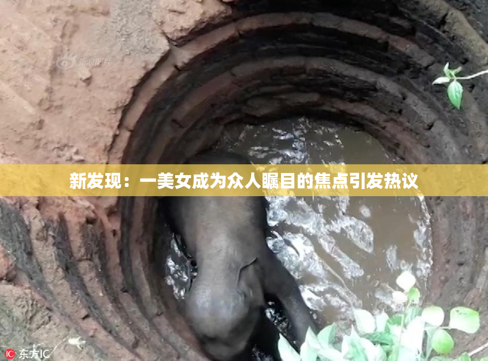 新发现：一美女成为众人瞩目的焦点引发热议