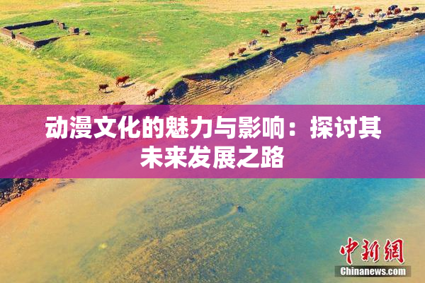动漫文化的魅力与影响：探讨其未来发展之路
