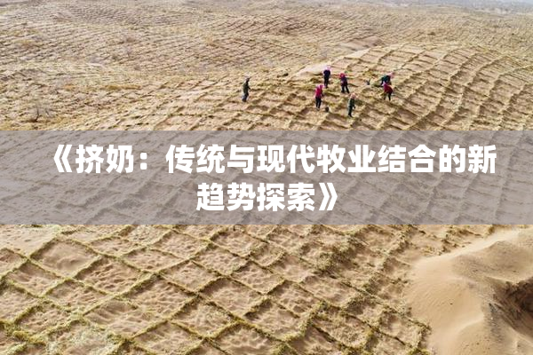 《挤奶：传统与现代牧业结合的新趋势探索》