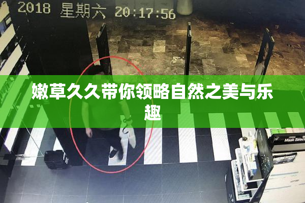 嫩草久久带你领略自然之美与乐趣