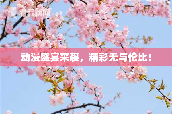 动漫盛宴来袭，精彩无与伦比！