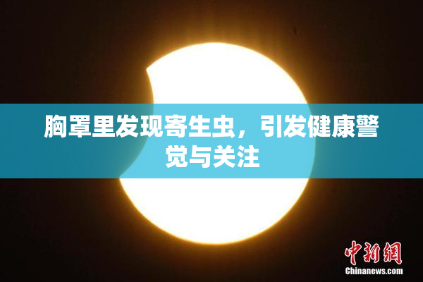 胸罩里发现寄生虫，引发健康警觉与关注