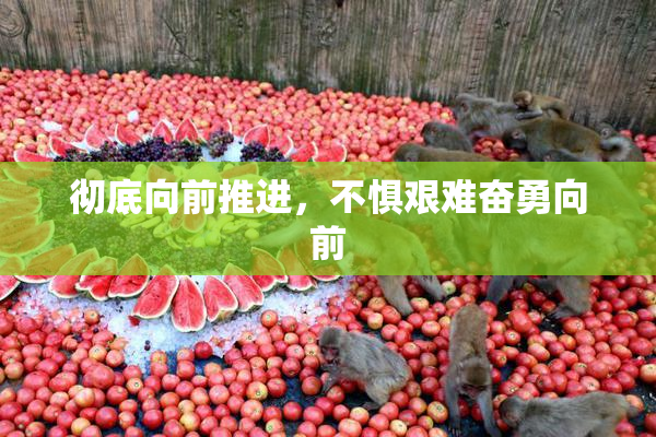 彻底向前推进，不惧艰难奋勇向前