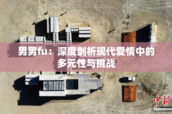 男男fu：深度剖析现代爱情中的多元性与挑战