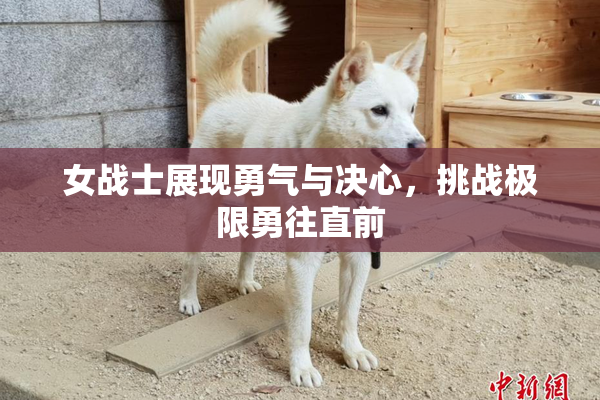 女战士展现勇气与决心，挑战极限勇往直前