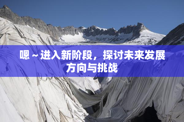 嗯～进入新阶段，探讨未来发展方向与挑战