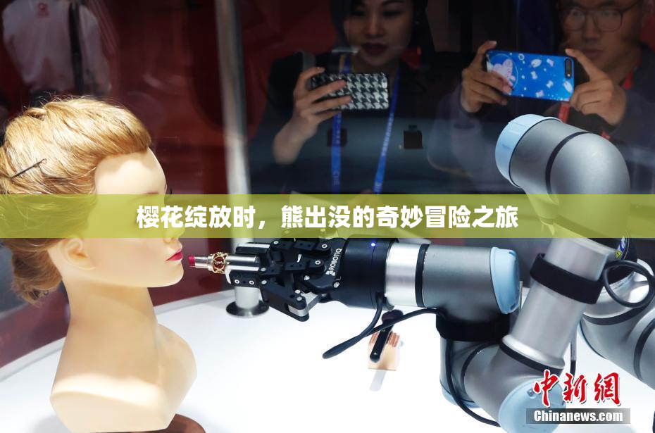 樱花绽放时，熊出没的奇妙冒险之旅