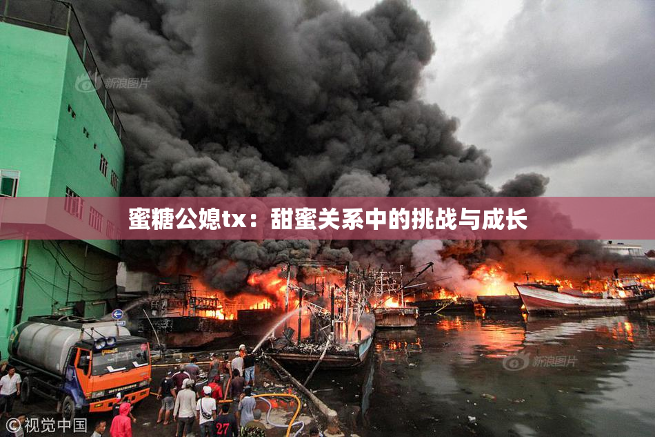 蜜糖公媳tx：甜蜜关系中的挑战与成长