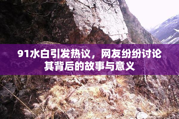 91水白引发热议，网友纷纷讨论其背后的故事与意义