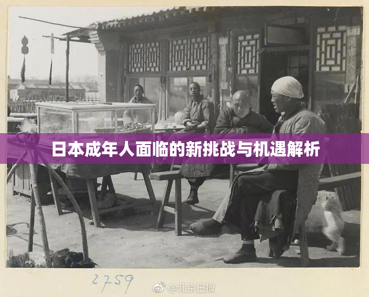 日本成年人面临的新挑战与机遇解析