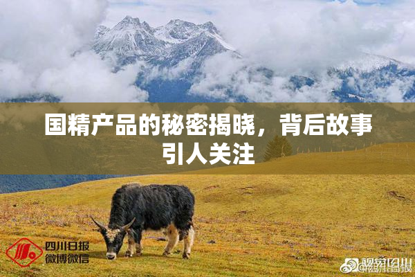 国精产品的秘密揭晓，背后故事引人关注