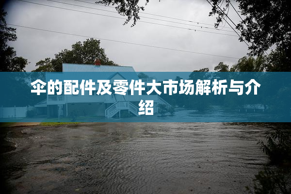 伞的配件及零件大市场解析与介绍