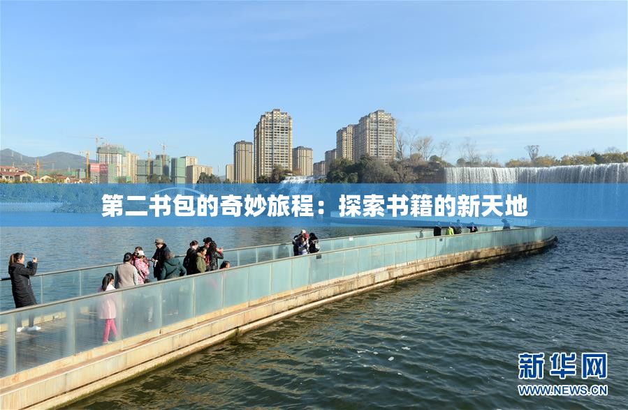 第二书包的奇妙旅程：探索书籍的新天地