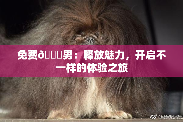 免费🔞男：释放魅力，开启不一样的体验之旅