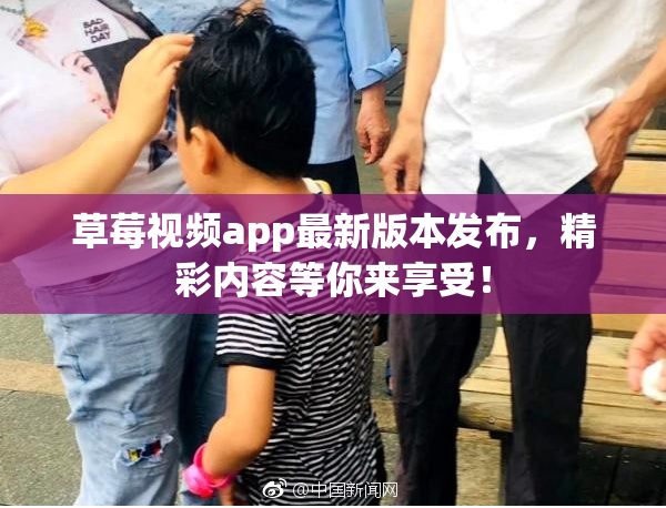 草莓视频app最新版本发布，精彩内容等你来享受！
