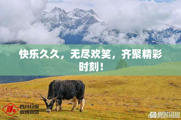 快乐久久，无尽欢笑，齐聚精彩时刻！