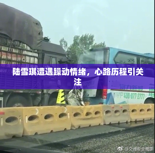 陆雪琪遭遇躁动情绪，心路历程引关注