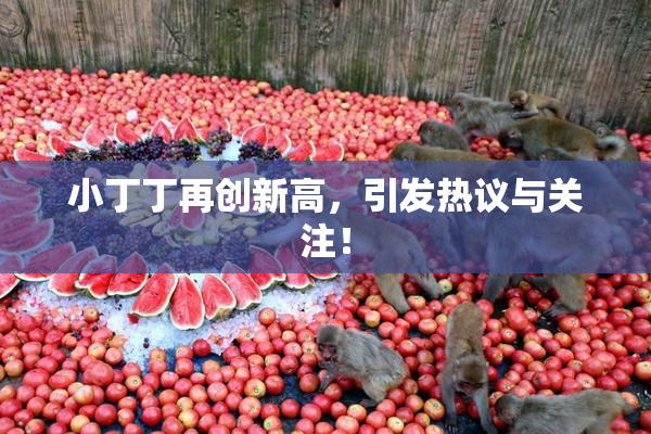小丁丁再创新高，引发热议与关注！