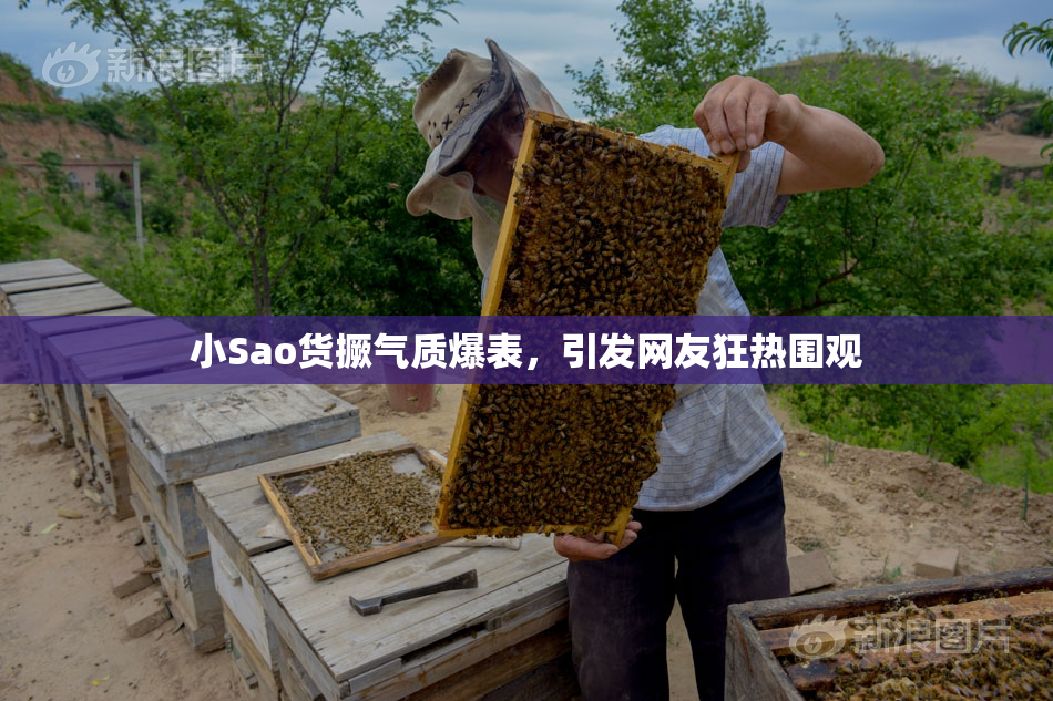 小Sao货撅气质爆表，引发网友狂热围观
