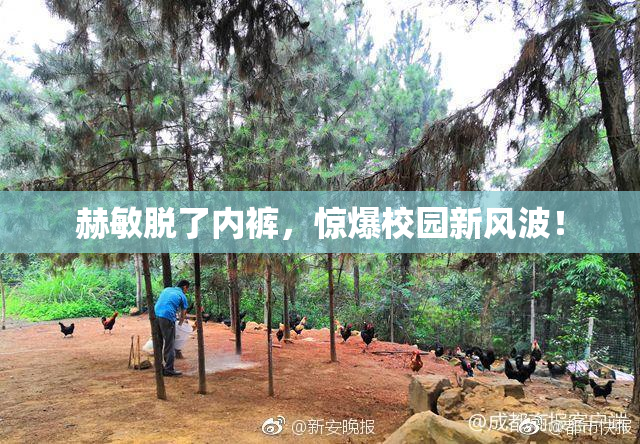 赫敏脱了内裤，惊爆校园新风波！