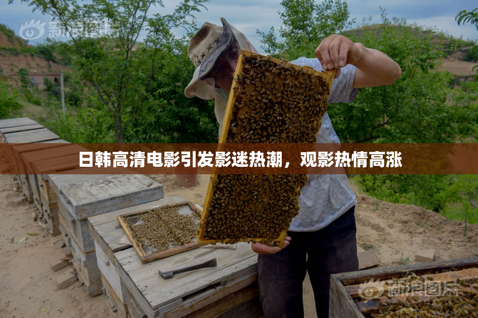 日韩高清电影引发影迷热潮，观影热情高涨
