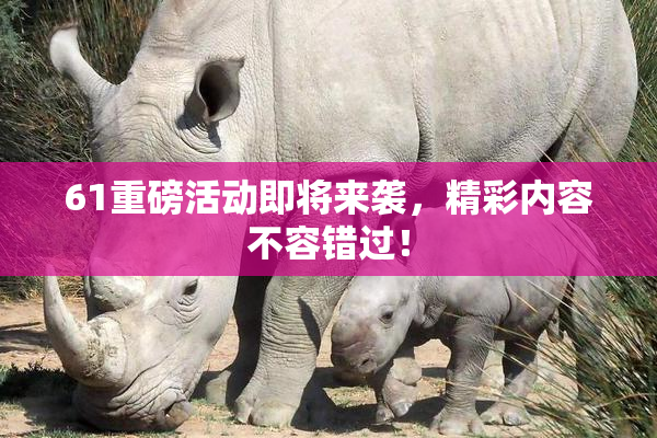 61重磅活动即将来袭，精彩内容不容错过！