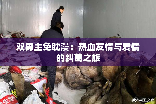 双男主免耽漫：热血友情与爱情的纠葛之旅
