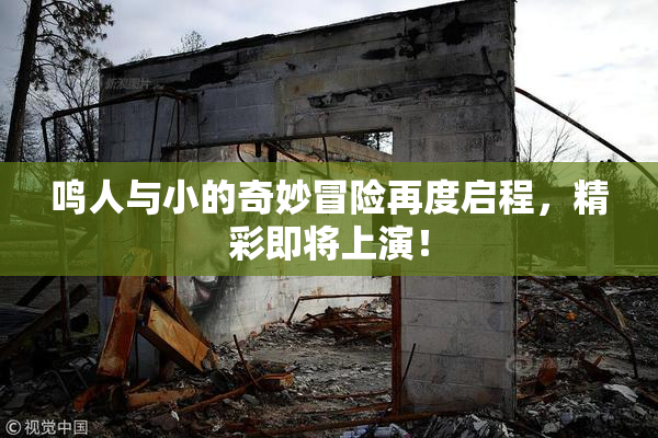 鸣人与小的奇妙冒险再度启程，精彩即将上演！