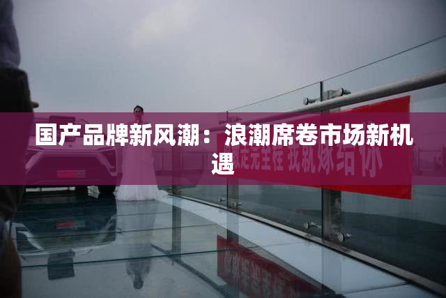 国产品牌新风潮：浪潮席卷市场新机遇