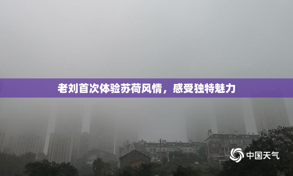 老刘首次体验苏荷风情，感受独特魅力