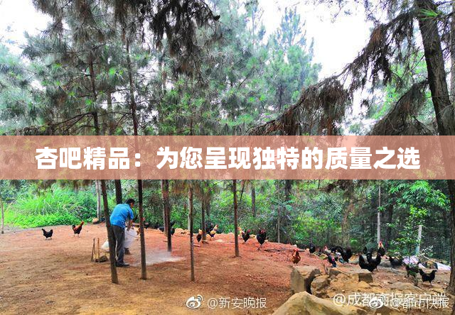 杏吧精品：为您呈现独特的质量之选