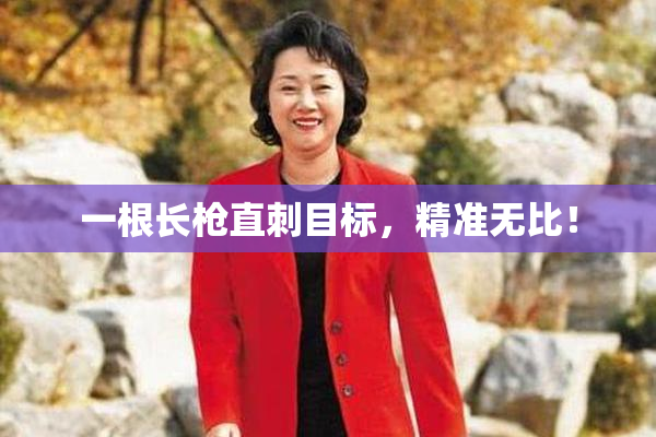 一根长枪直刺目标，精准无比！