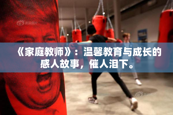 《家庭教师》：温馨教育与成长的感人故事，催人泪下。