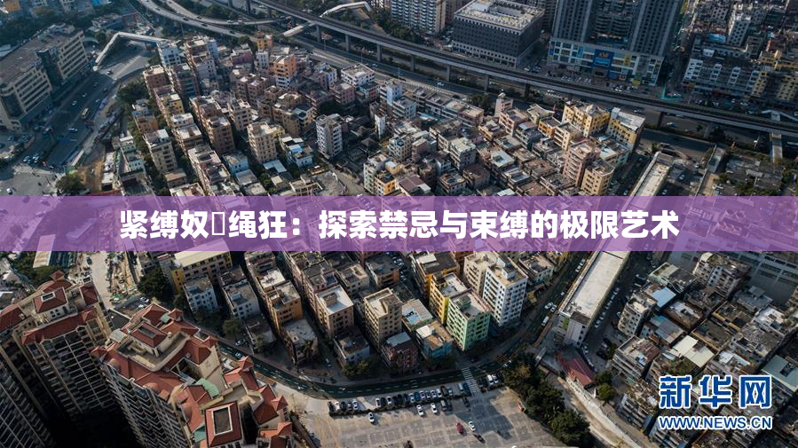 紧缚奴隷绳狂：探索禁忌与束缚的极限艺术