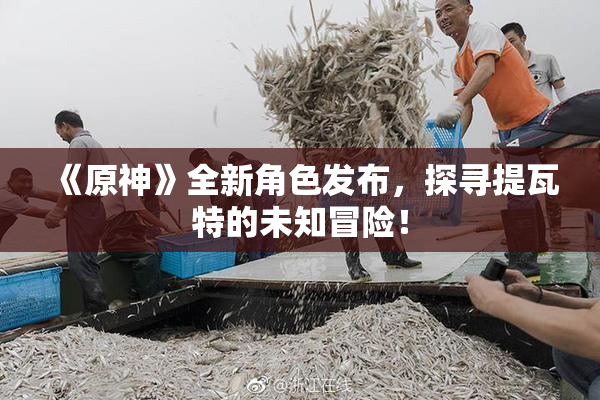《原神》全新角色发布，探寻提瓦特的未知冒险！